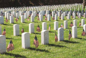 national cemetery with flags